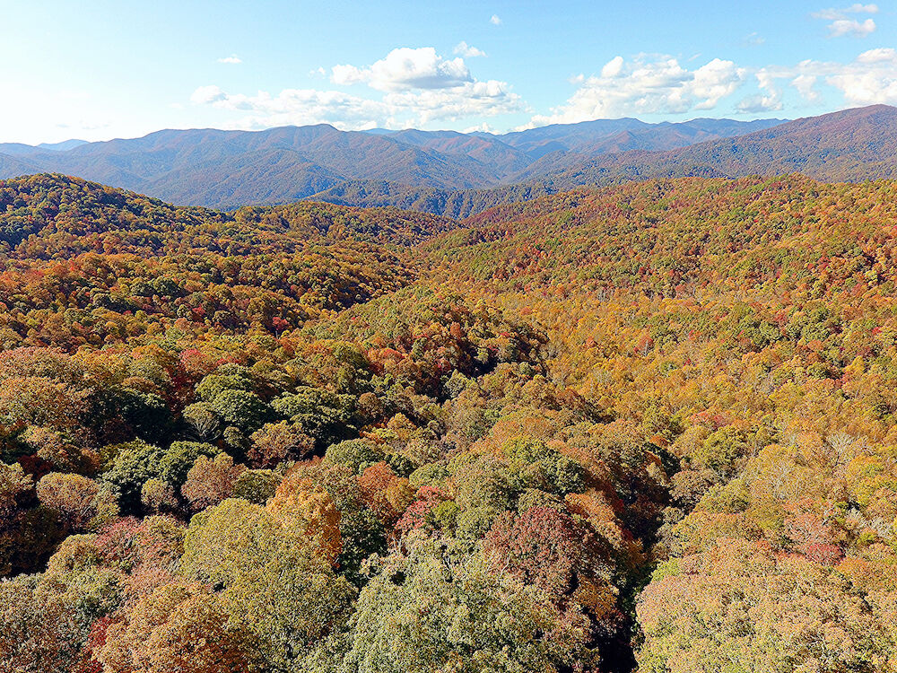 Blue ridge parkway aerial fall.jpg